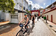 Singapore Bike and Bites: Small Group Food Tour on Bicycle