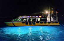 Catalina Nighttime Flying Fish and Undersea Adventure Cruise
