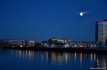 Reykjavik History and Sightseeing Walking Tour
