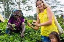 7 Days Sri Lanka Tour with Hotel and Transfer