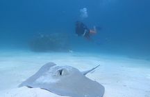 2-Tank Scuba Dive: Puerto Morelos Reef & Shipwreck | Small Groups