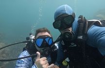 2-Tank Scuba Dive: Puerto Morelos Reef & Shipwreck | Small Groups