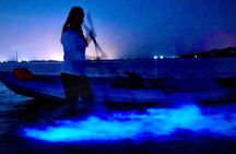 Merritt Island Bioluminescent Nighttime Glow Kayak and SUP Tour