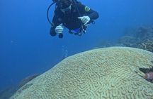 Diving in Santa Marta Taganga and Tayrona Park