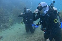 Lionfish Scuba Mini Course Underwater Adventure