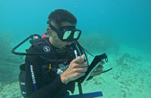 Lionfish Scuba Mini Course Underwater Adventure