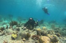 NAUI Open Water Parque Tayrona Diving Certification Course