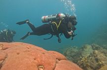 NAUI Open Water Parque Tayrona Diving Certification Course
