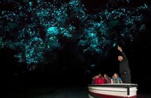 Waitomo Glowworm, Blue Springs, and Hobbiton Day tour