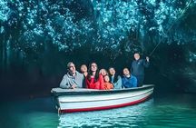 Waitomo Glowworm, Blue Springs, and Hobbiton Day tour