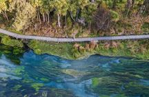 Waitomo Glowworm, Blue Springs, and Hobbiton Day tour