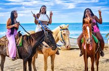 Punta Cana Monkeyhouse and Adventure Horseback Ride