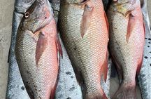 Fishing and snorkeling on the costa maya 4 hours