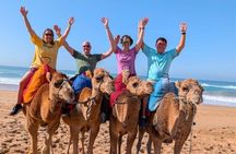 Tangier Private Luxury Tour - Cruise Ship Pickup Included