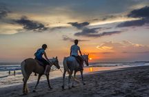 Bali Horseback Riding In Jimbaran Bay Beach Experience