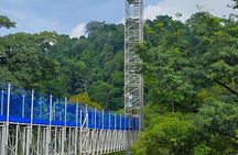 Batu Caves Skywalk and Waterfalls Adventure