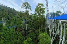 Batu Caves Skywalk and Waterfalls Adventure