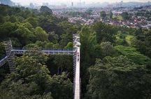 Batu Caves Skywalk and Waterfalls Adventure