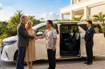 Okinawa Private Tour — Driver and Guide Included 1–5 Guests (6h)
