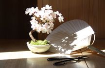 Osaka: Bonsai Making with a Local Guide