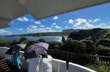 Okinawa Flexible Tour—Driver and Guide Included 1–8 Guests（4-8H）