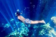 5 hidden cenotes jungle experience