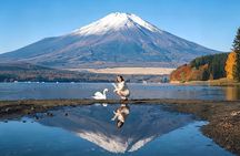 Private Chartered Day Tour to Mount Fuji