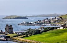 Scalloway & Shetland Ponies Private Shore Tour