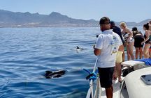Most Famous Catamaran in Tenerife Island - Unlimited Drinks