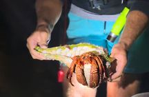 90 Minute LED Illuminated Clear Kayak Night Adventure Tour