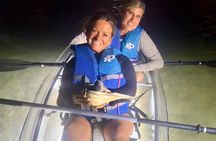 90 Minute LED Illuminated Clear Kayak Night Adventure Tour