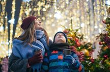 London Christmas Lights Private Tour for Groups