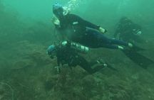 Diving Safari Tayrona Park For Certificates or Beginners
