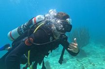 Diving Safari Tayrona Park For Certificates or Beginners