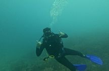 Diving Safari Tayrona Park For Certificates or Beginners