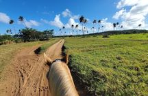 Horseback Riding Tours on Aguadilla Beach