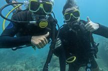 Diving in Santa Marta Taganga and Tayrona Park