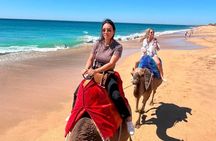 Malaga/Tarifa toTangier PrivateTour with tickets, lunch&camels