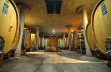 Tour Wineries From the Grape to the Cup