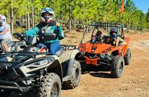 Cape Town Elgin Valley Quadbiking to Waterfall
