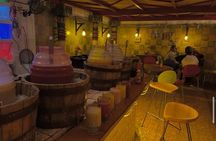 Santa Maria la Rivera floating bookstore, murals and pulque