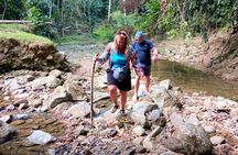 Caribbean Coast Highlights Hummingbirds, Waterfall and Beaches