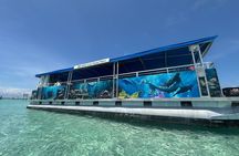 Crab Island Boat Tour