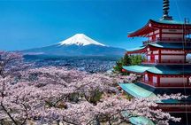 Mount Fuji Full Day Customize Private Tour With English Guide