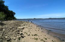 Shark Tooth Island Tour