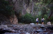 Hiking in the Natural Park of Maro Cerro Gordo