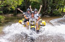 Tropical Trike Tours at Port Douglas