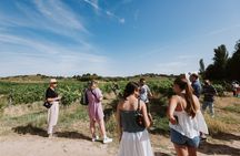 Madrid Countryside Wineries Guided Tour with Wine Tasting