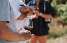 Madrid Countryside Wineries Guided Tour with Wine Tasting