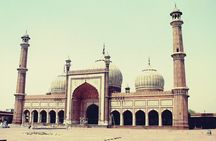 Full Day City Tour of Delhi with Private Tour Guide